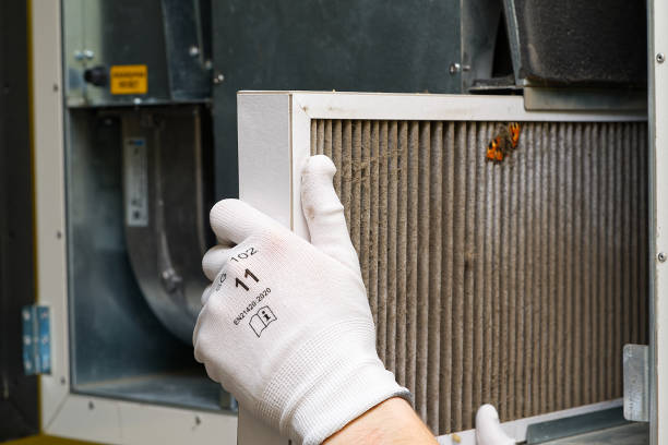 Best Local Air Duct Cleaning Services  in Kings Mountain, NC